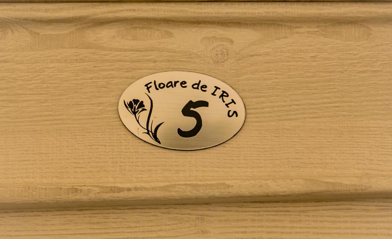 旧瓦马 Floare De Iris酒店 外观 照片